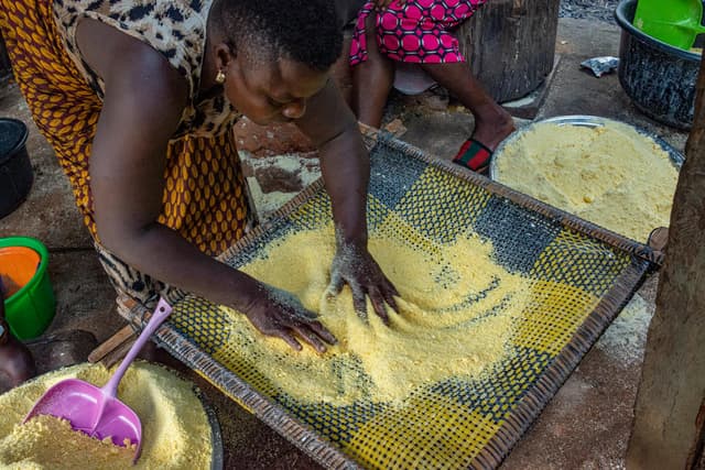 Le grain retrouvé : une odyssée du fonio dans l’art de vivre sénégalais