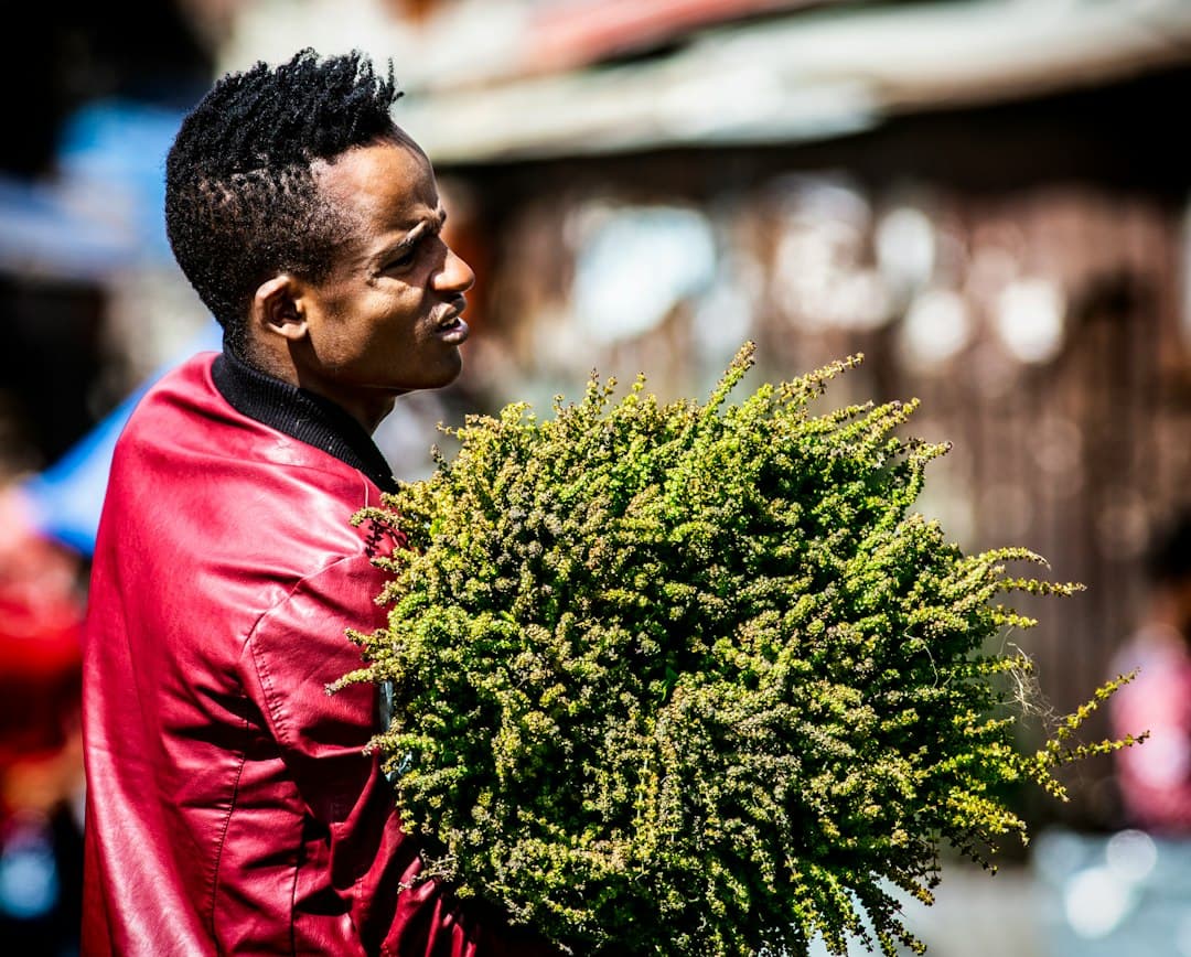 Semences africaines : quand Addis-Abeba pose la première pierre de notre souveraineté alimentaire