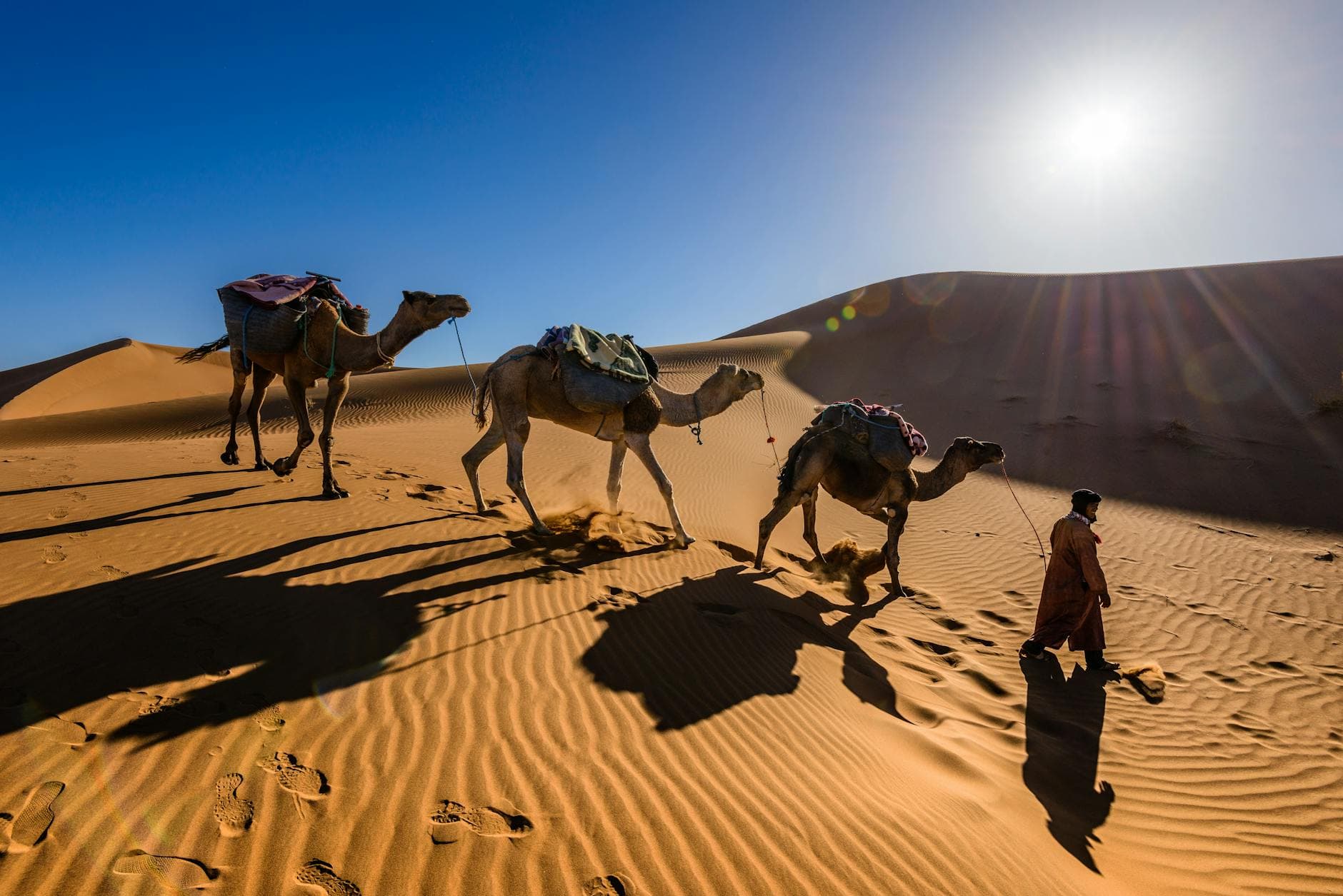 Le chant des dunes : voyage au cœur du désert mauritanien