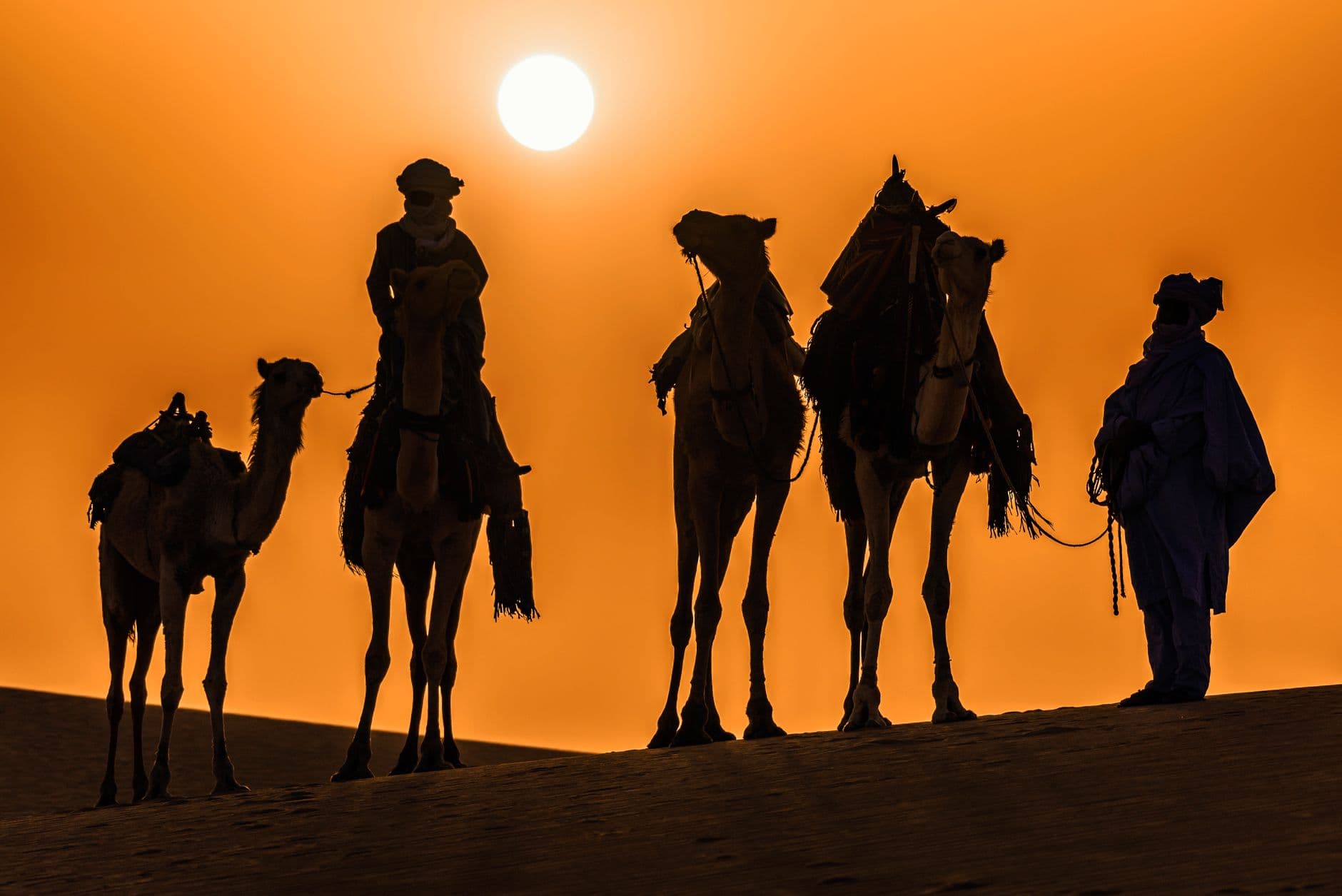 Les dunes qui murmurent : sur les traces oubliées du Sahel