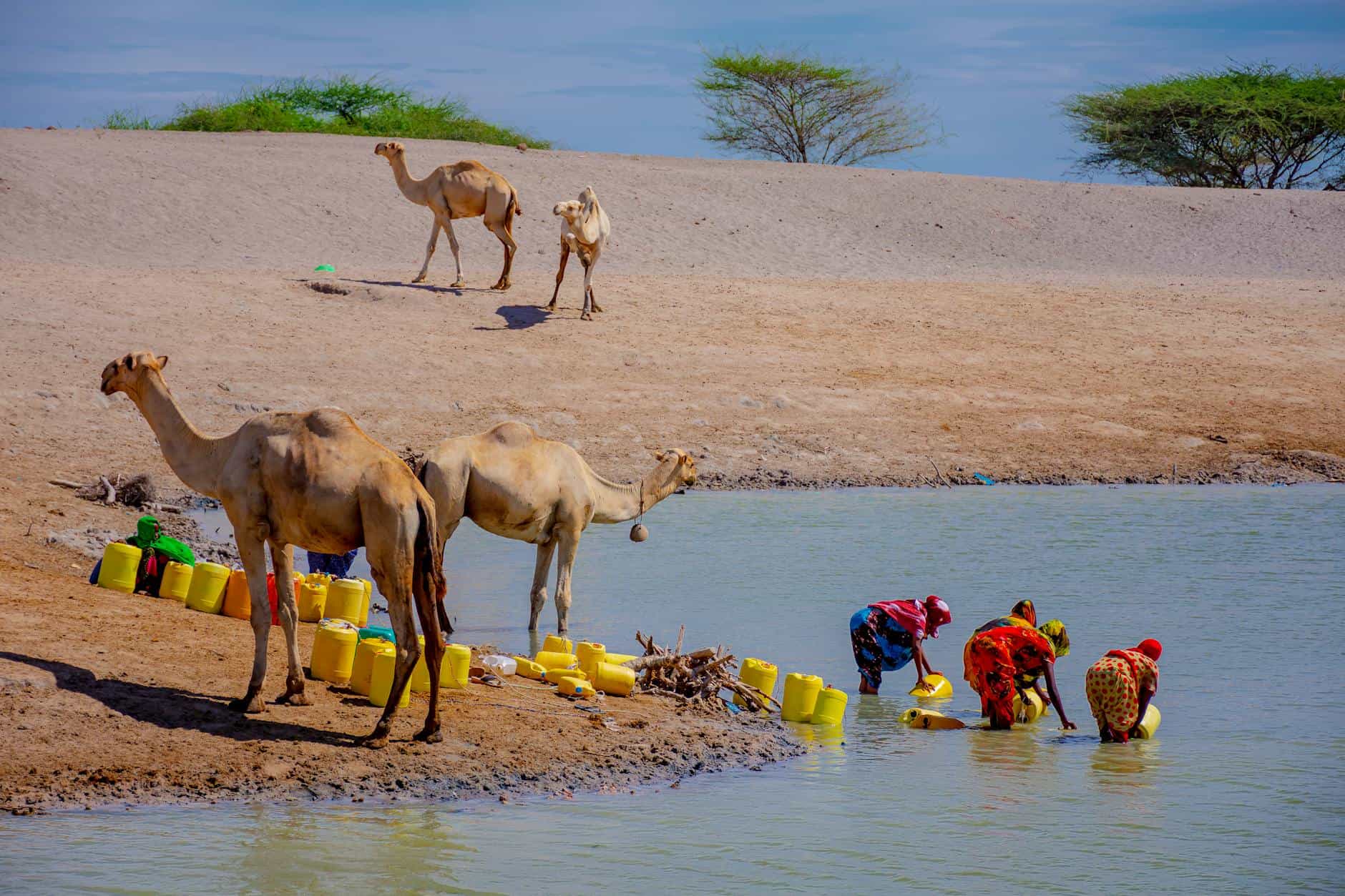 Chaleur extrême en Afrique australe : un péril silencieux qui frappe les plus vulnérables