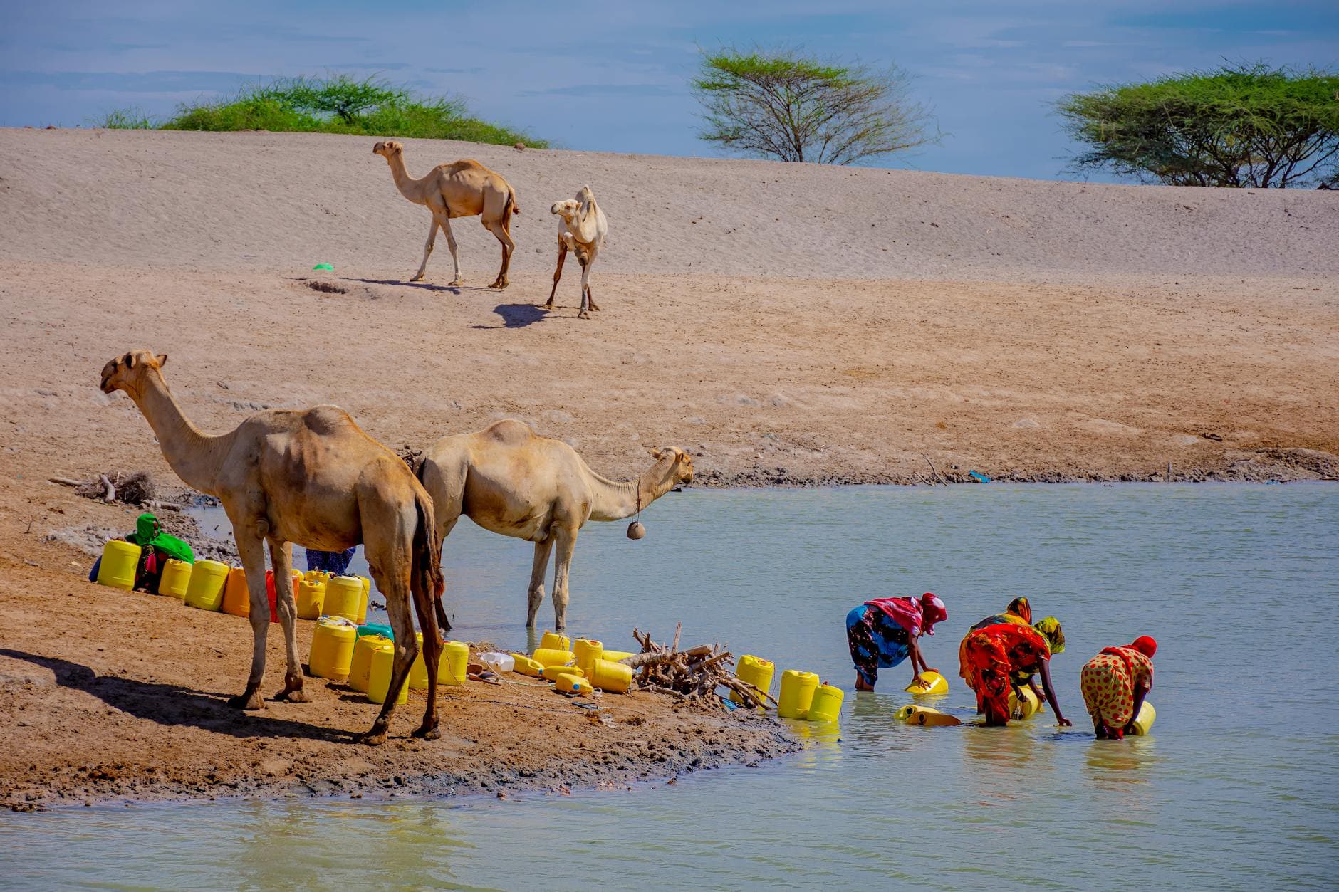 Chaleur extrême en Afrique australe : un péril silencieux qui frappe les plus vulnérables