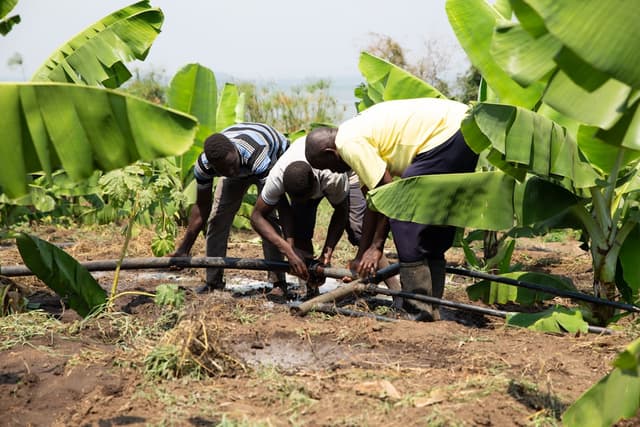 L'argent qui dort : pourquoi l'Afrique doit réveiller son capital intérieur